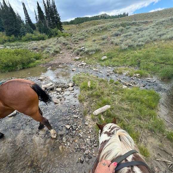 1-99 LIVE SHOW’S FRIDAYS 2-9PM MST! SUNDAYS 1PM-9PM MST! - Picture 6 of 13